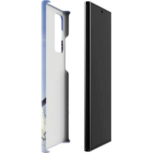 Frazetta Sliver Warrior Galaxy Note20 Ultra 5G Lite Case